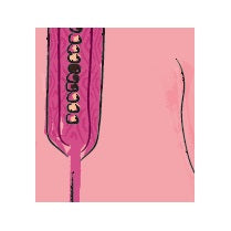Affiche djellaba femme (pink)
