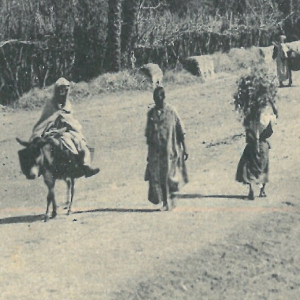 Vue ancienne de Marrakech - Route de Bab Doukkala - vers 1920