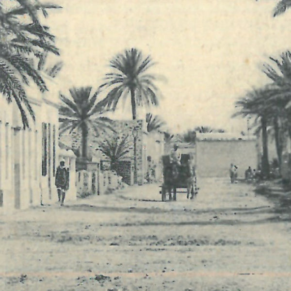 Vue ancienne de Marrakech - Une rue du Guéliz - vers 1920