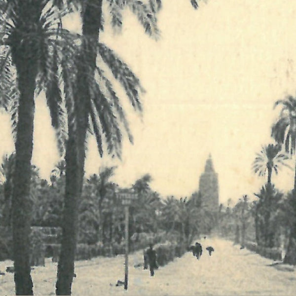 Vue ancienne de Marrakech - Avenue de la Koutoubia - 1932