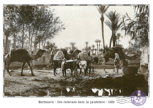 <transcy>Old view of Marrakech - A caravan in the palm grove - 1929</transcy>