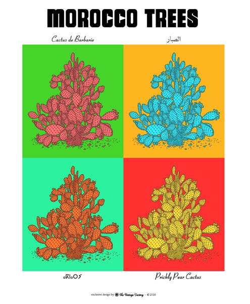 <transcy>CACTUS botanical sheet POP version</transcy>