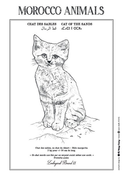 Planche zoologique CHAT DES SABLES